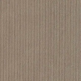 Corduroy Cloth 8919