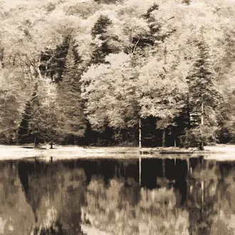 Autumn 87109514