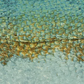 Scales_s 87197122