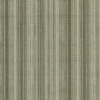 Chamberlain Stripe 31604