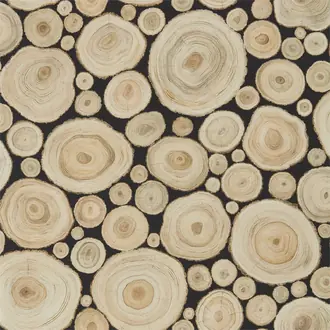 Alnwick Logs 216510
