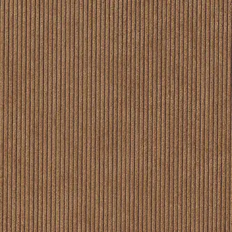 Corduroy Cloth 8921