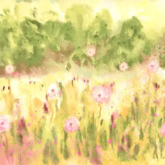 Meadow WND50122M