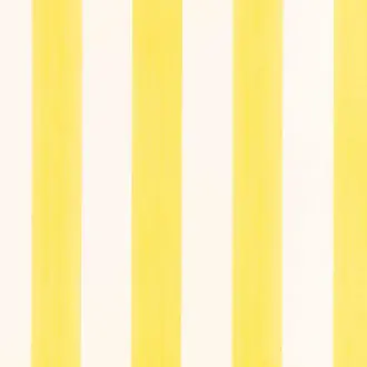 Candy Stripe Sunflower