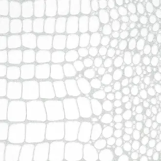 Vinyl Crocodile Rock 10854