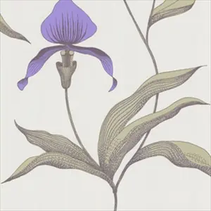 Orchid 66-4024