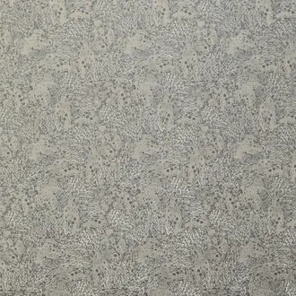 Dolomite Fossil