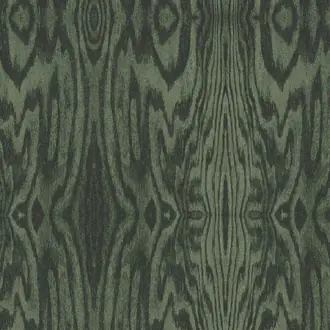 Arbre Juniper 42