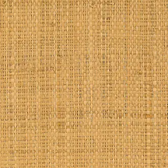 Capri Raffia 31400