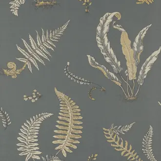 Ferns BW45044-6