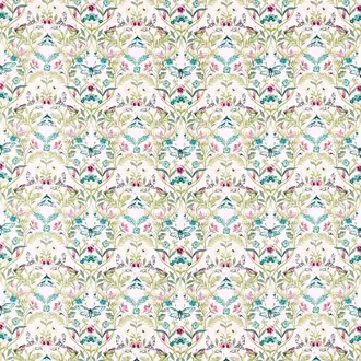 Pieris F1535-01