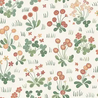 Bellis S10785
