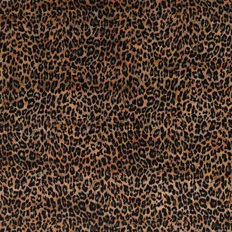 Pardus F6713-02