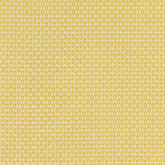 Ituri Maize 7888-04