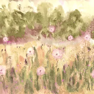 Meadow WND50123M