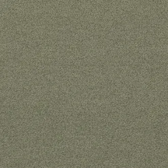 Baker House Boucle BF10965-790