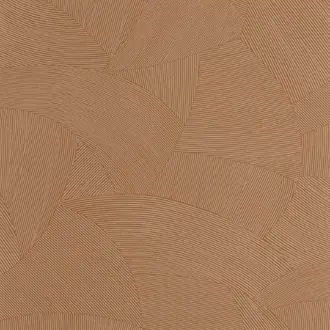 Terra 106062030