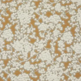 Phenomene 3236-01