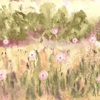 Meadow WND50123M