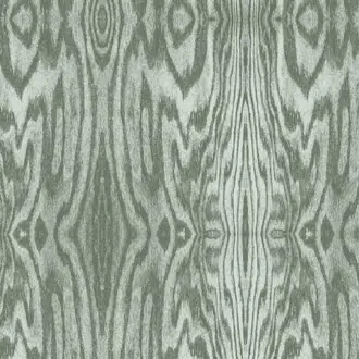 Arbre Laurel 38