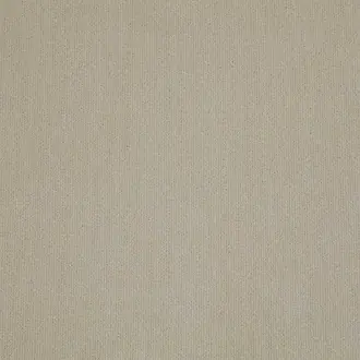 Hampton Putty