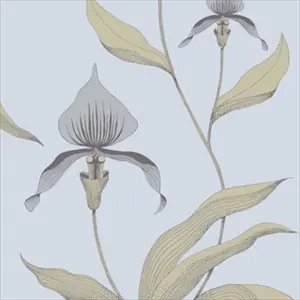 Orchid 66-4026
