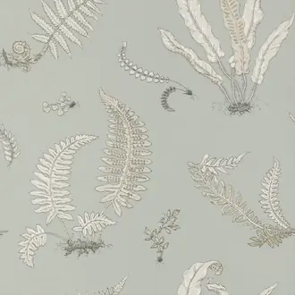 Ferns BW45044-7