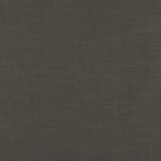 Asuri Lava Rock 7726-20