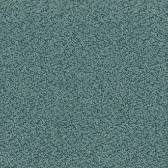Cardot NCF4451-02