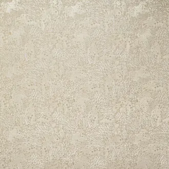 Dolomite Sandstone