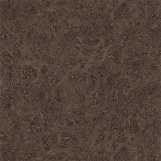 Lacquer EANT111133