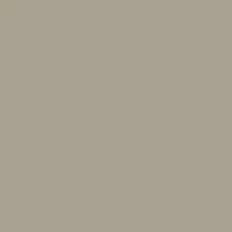 Fossil Paint