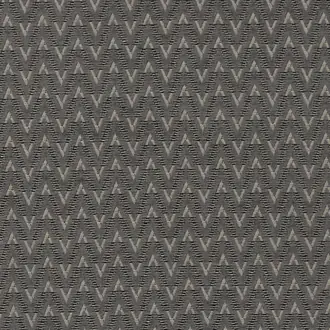 Zion F1324-01