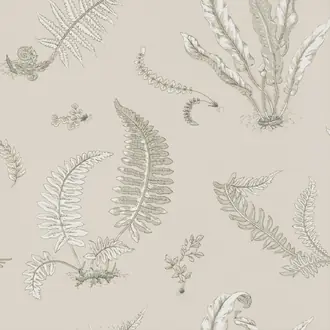 Ferns BW45044-8