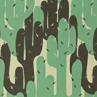 Cactus Turchese
