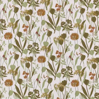Niwa Olive