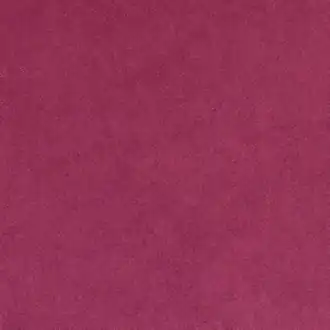 Snug FR Fuchsia