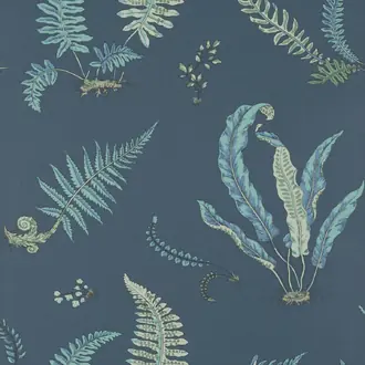 Ferns BW45044-9
