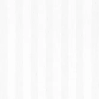 Erba Stripe FWW8241