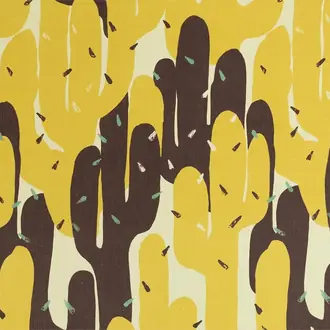 Cactus Giallo