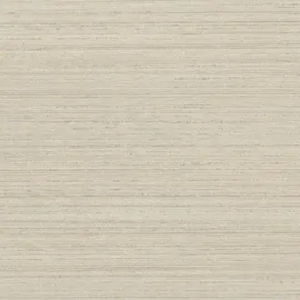 Silkx 67005