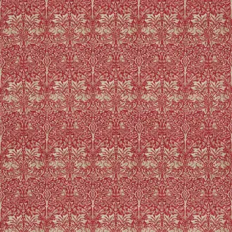 Brer Rabbit DMORBR201