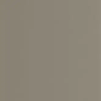 Pigments 200339404
