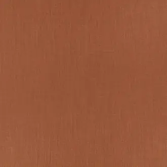 Kylo Cajun