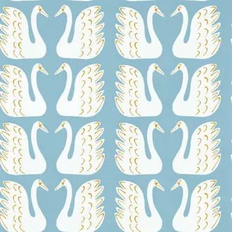 Swim Swam Swan 112809