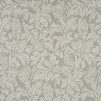 Parlor Palms JT013982-001