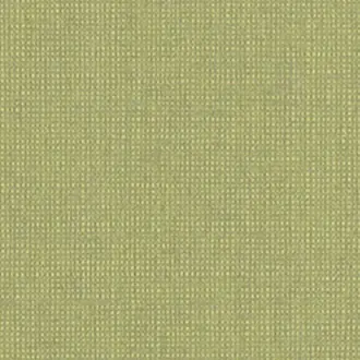 Canvas 10161