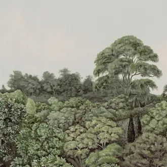 Canopy 1 MHP10