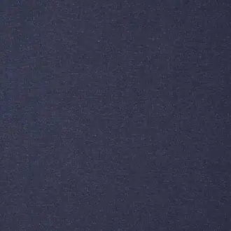 Leon Indigo