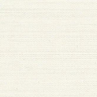 Arista 67950